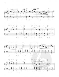 Akkordeon Pur: Cat Stevens im Alle Noten Shop kaufen