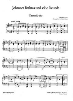 Johannes Brahms und seine Freunde von Joachim Draheim 