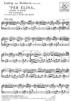 Pagina D'Album per Elisa von Ludwig van Beethoven 