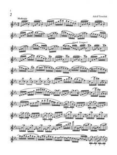 Flötenetüden Heft 2 von Immanuel Lucchesi im Alle Noten Shop kaufen