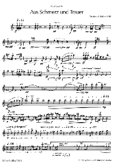 Aus Schmerz und Trauer von Nikolaus A. Huber 