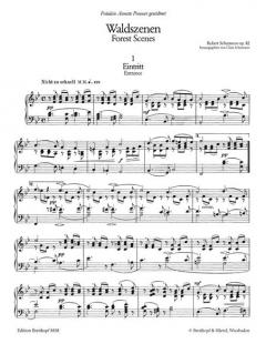 Waldszenen op. 82 von Robert Schumann 