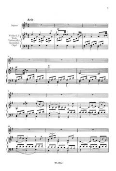 Ergo Interest KV 143 (73a) (W.A. Mozart) 