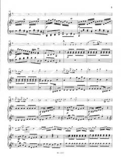 Flötenkonzert G-dur QV 5:174 von Johann Joachim Quantz im Alle Noten Shop kaufen