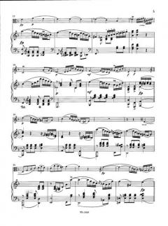 Märchenbilder op. 113 von Robert Schumann 