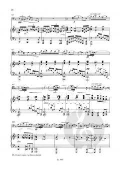 Sonate für Cello und Klavier a-Moll von Alexander von Zemlinsky im Alle Noten Shop kaufen