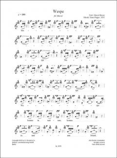 Wespe von Enno Poppe 