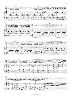 Hummelflug von Nikolai Rimski-Korsakow 