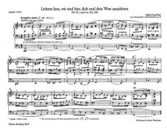 Hier preisen auf der Erd Band 2 von Klaus Uwe Ludwig 