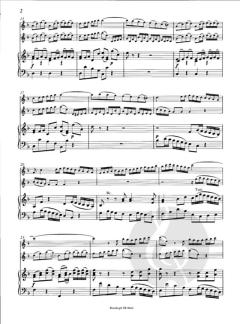 Konzert in d-Moll nach BWV 1060 (J.S. Bach) 