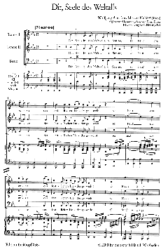 Dir, Seele des Weltalls (W.A. Mozart) 