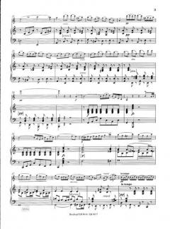 Arpeggione-Sonate a-moll D 821 von Franz Schubert 