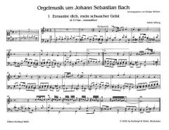 Orgelmusik um J. S. Bach im Alle Noten Shop kaufen