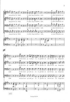 Nachtgesang im Walde op. post. 139 D 913 (Franz Schubert) 