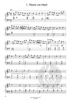 Irisches Tagebuch von Hildegard Beyer 