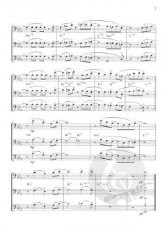 20 Jazz- & Rock-Trios von Manfred Schenk 