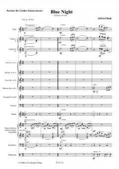 Blue Night von Alfred Beele 