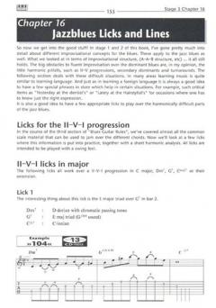 Blues Guitar Rules von Peter Fischer 