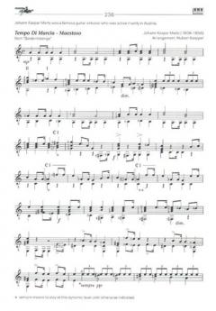 Introducing The Guitar 