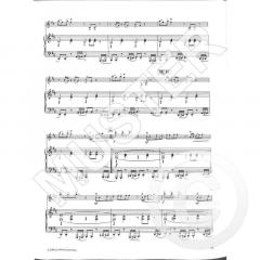 10 RAPsodies In Concert von Manfred Schmitz 