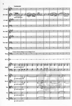 Gabriel's Oboe von Ennio Morricone 