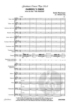 Gabriel's Oboe von Ennio Morricone 