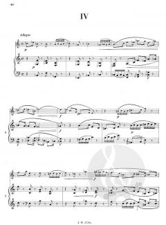 Der vollkommene Klarinettist Band 3 von Rudolf Jettel 