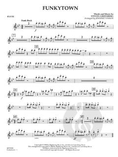 Funkytown von Steven Greenberg 