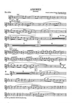 Amores von Ambros Seelos 