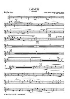 Amores von Ambros Seelos 