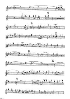 Fiesta Del Toro von Jeff Nordley 