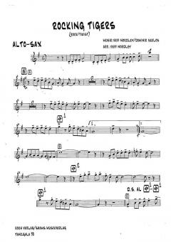 Rocking Tigers von Dominik Seelos 