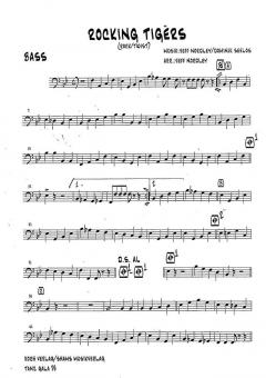 Rocking Tigers von Dominik Seelos 