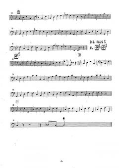 Rocking Tigers von Dominik Seelos 