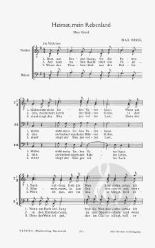 Heimat, mein Rebenland (Max Orrel) 