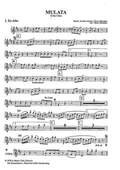 Mulata von Ambros Seelos 