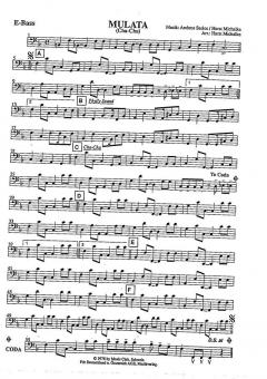 Mulata von Ambros Seelos 