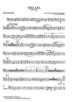 Mulata von Ambros Seelos 