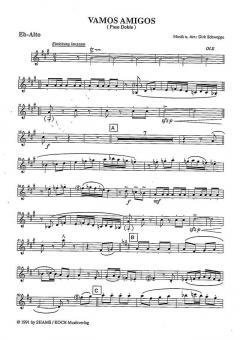 Vamos Amigos von Dirk Schweppe 