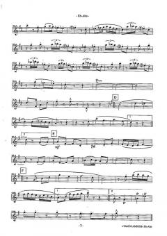 Vamos Amigos von Dirk Schweppe 