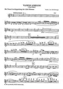 Vamos Amigos von Dirk Schweppe 