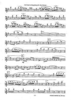 Vamos Amigos von Dirk Schweppe 