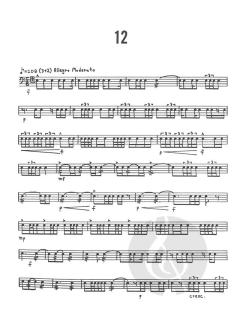 Advanced Snare Drum Studies (Mitchell Peters) 