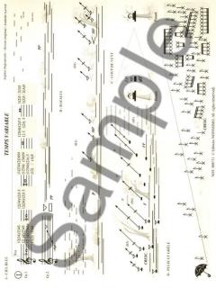 Temps Variable von Sophie Dufeutrelle 