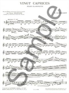 20 Caprices von Giovanni Battista Gambaro 