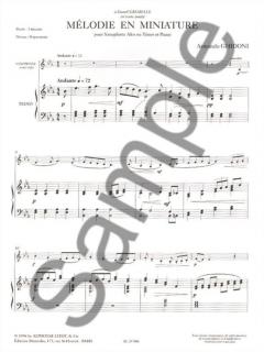 Melodie en Miniature von Armando Ghidoni 