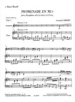 Promenade en Mib von Armando Ghidoni 