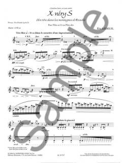 X Niry S von Eric Ledeuil 