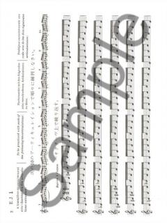 17 Grands Exercices Journaliers de Mecanisme von Paul Taffanel 