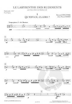 Le Labyrinthe Des Rudiments (Jean-Pascal Rabié) 